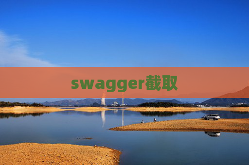 swagger截取